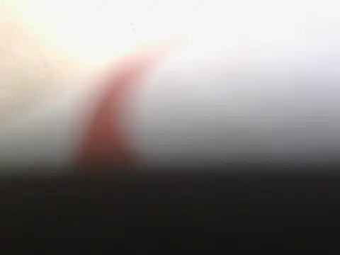Stubborndesiboy webcam