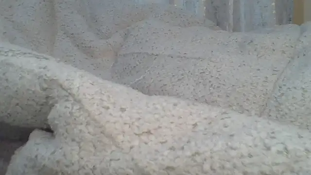 ndivhuwomuleya webcam