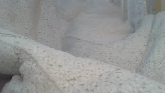 ndivhuwomuleya webcam