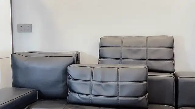 lvy-w webcam