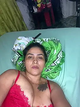 LuzDream webcam