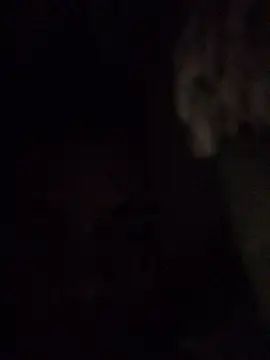 HenriquePhn webcam