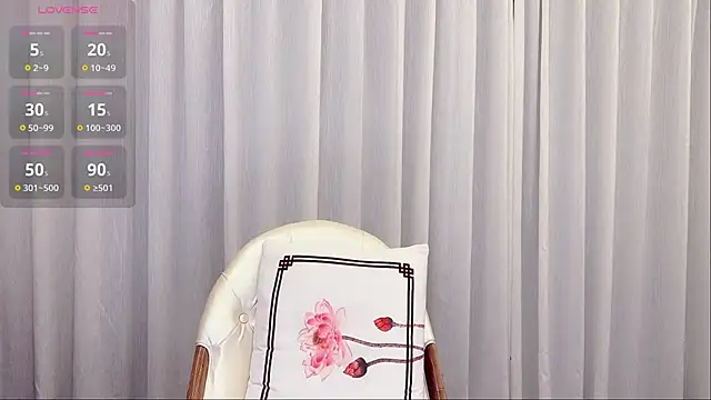 yuer2563 webcam