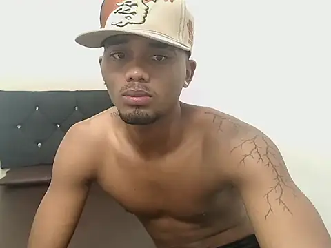 blazertr webcam
