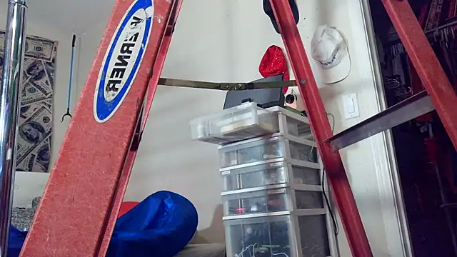 sugahfreeee's live room