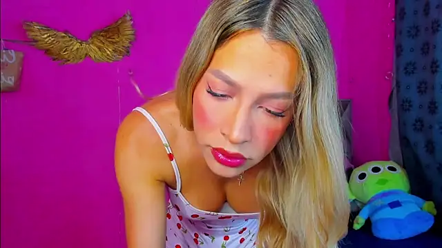 hanna_tss webcam