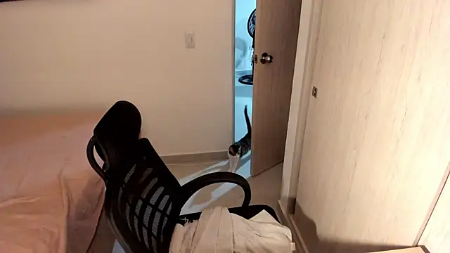 misstoya webcam