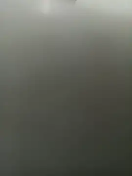 wildfoxG webcam
