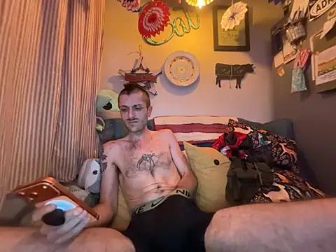 HarmoniousPhantasm3 webcam