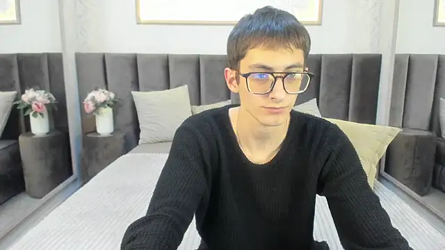 RonBevs webcam