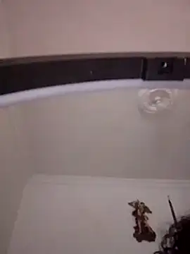 scaryfire webcam