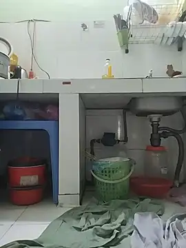 Logii_x webcam