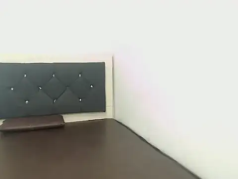 blazertr webcam