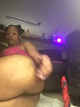 ExoticBlue-Butterfly webcam
