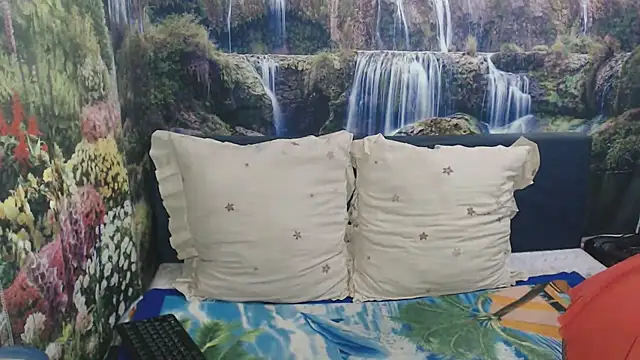 indianaqua webcam