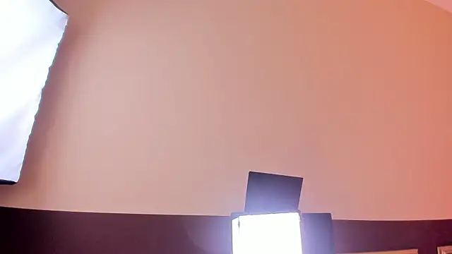 morganlake_ webcam