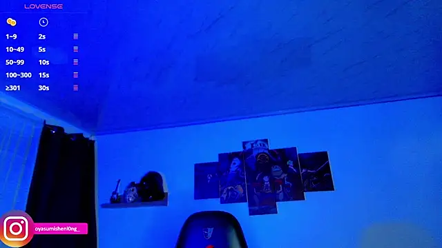 Nicorobinn webcam