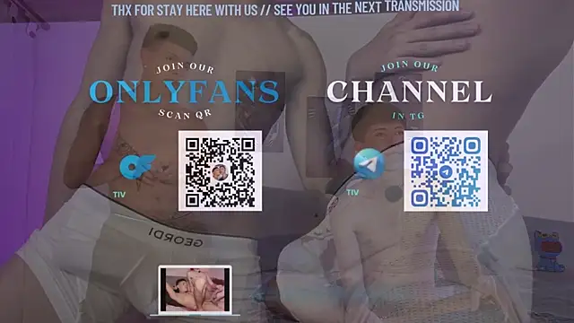 tivendann webcam
