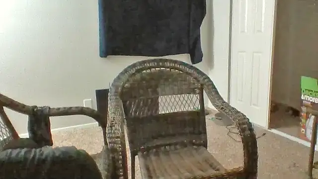 Fenrir2330 webcam