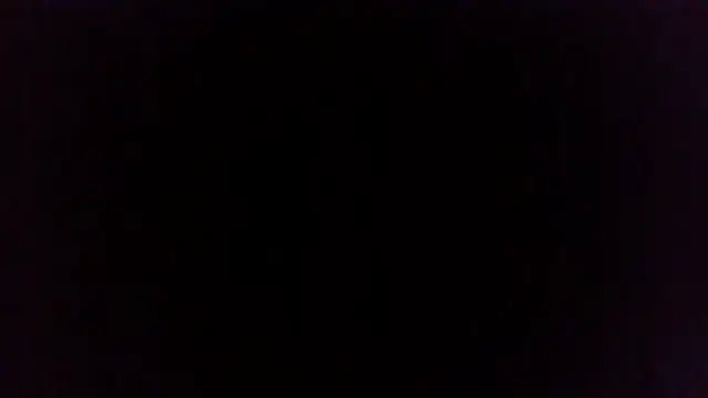 danadinhavip webcam