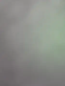 Summerwet_