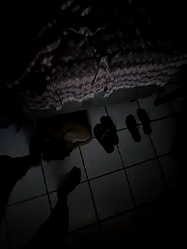 VULPIX69 webcam