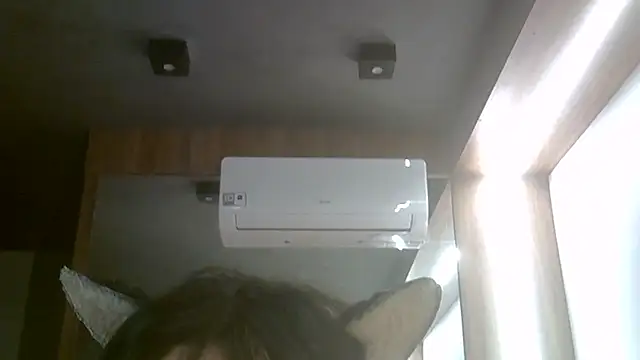SkinnyKitten webcam