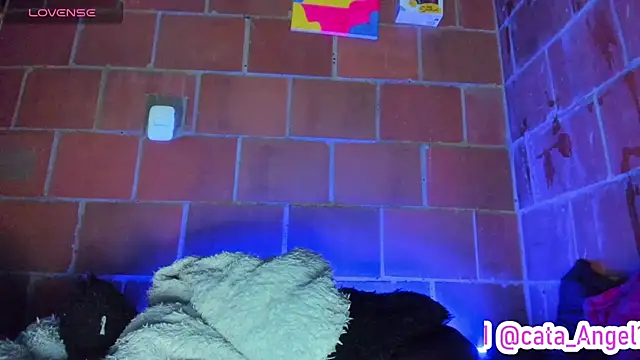 Cata-angel webcam