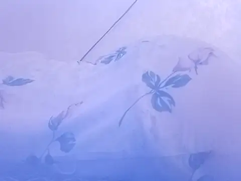 jojo1986No webcam
