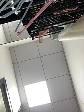 milkwine webcam