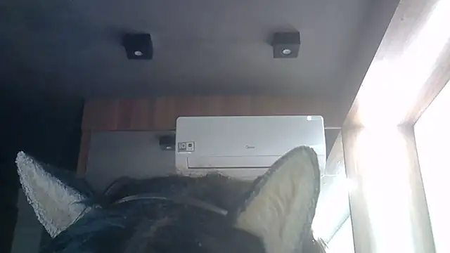 SkinnyKitten live cam