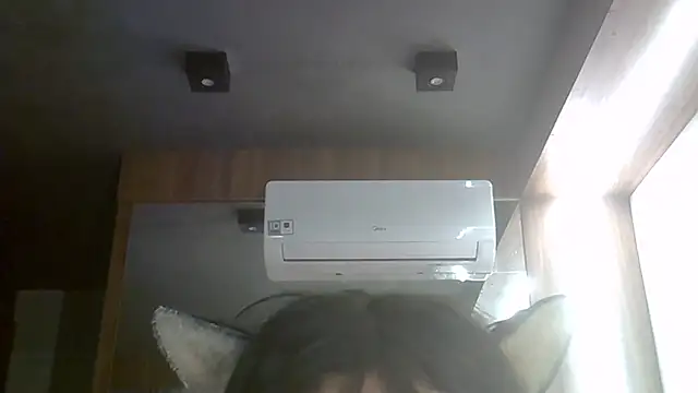 SkinnyKitten webcam