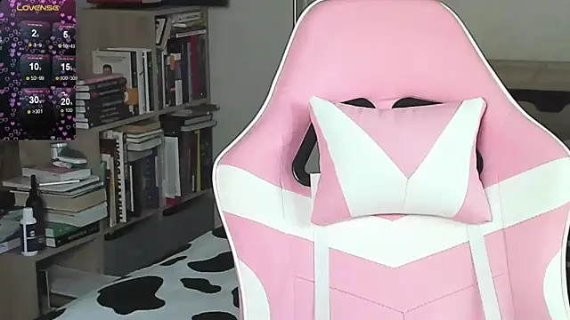 bbJ_one webcam