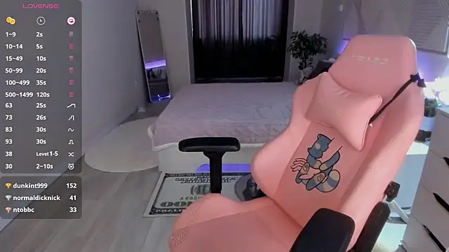 Seiko_swan webcam