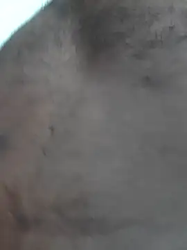 Mr_beast_09 webcam