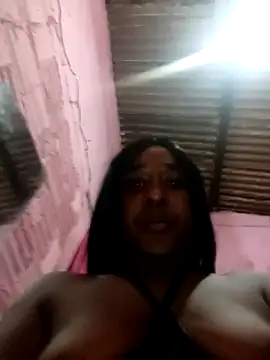 Modelo: Hellentrans24