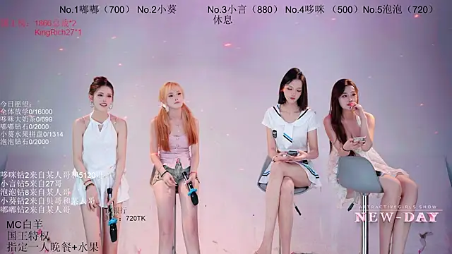 NEW-DAY webcam