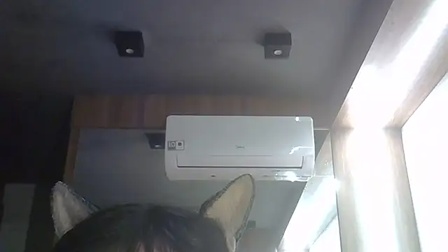 SkinnyKitten webcam