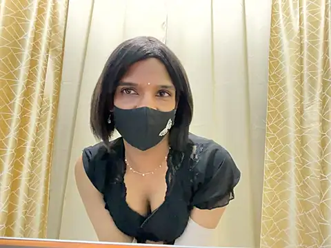TransLisa7 webcam