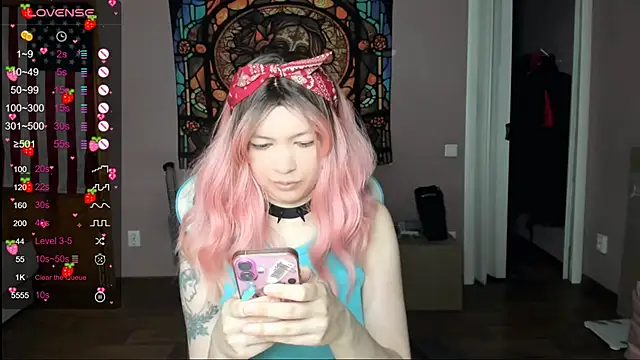 Project_hisoka webcam