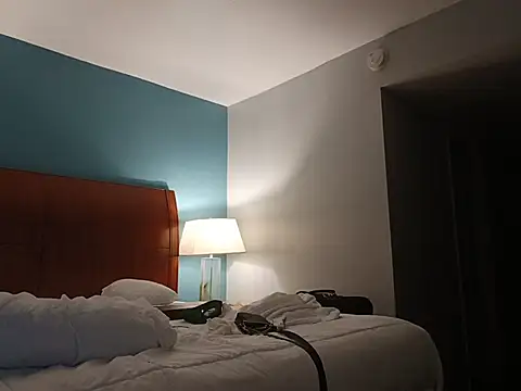 Dicksee_Left webcam