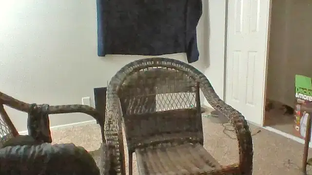 Fenrir2330 webcam