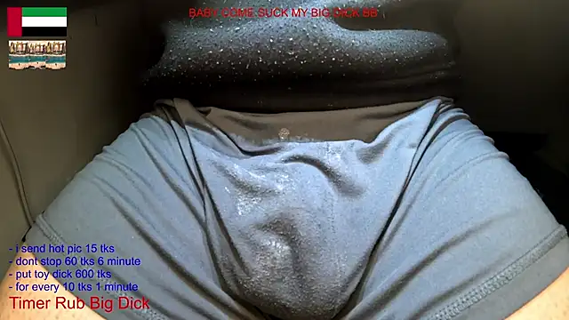 bfs266 webcam