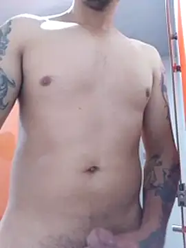 basrdchi webcam