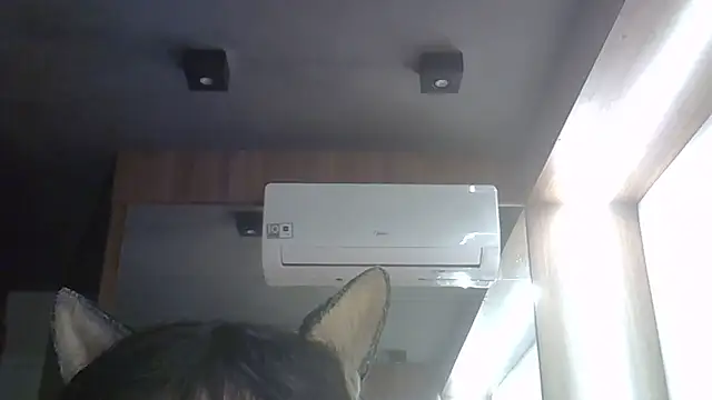 SkinnyKitten live cam