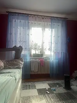 czruz live cam