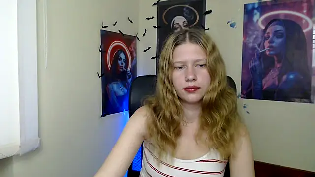 StellaCRL webcam