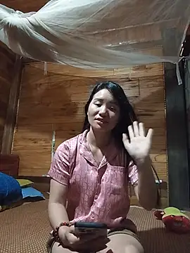 Td3di webcam