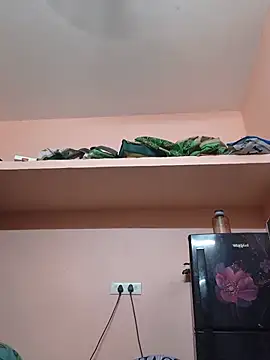 revathisree webcam