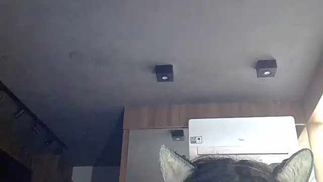SkinnyKitten webcam